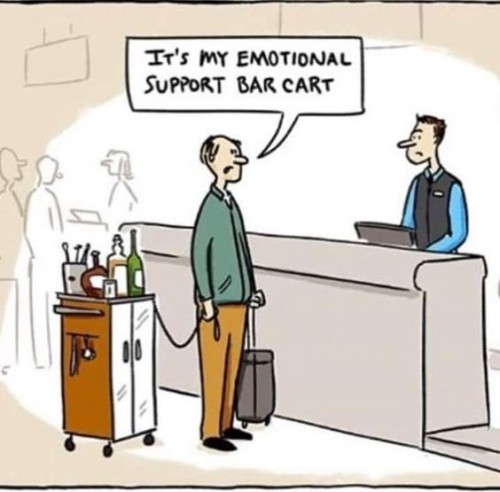 Emotional Support Bar Cart.jpg